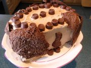 G&acirc;teau aux noisettes